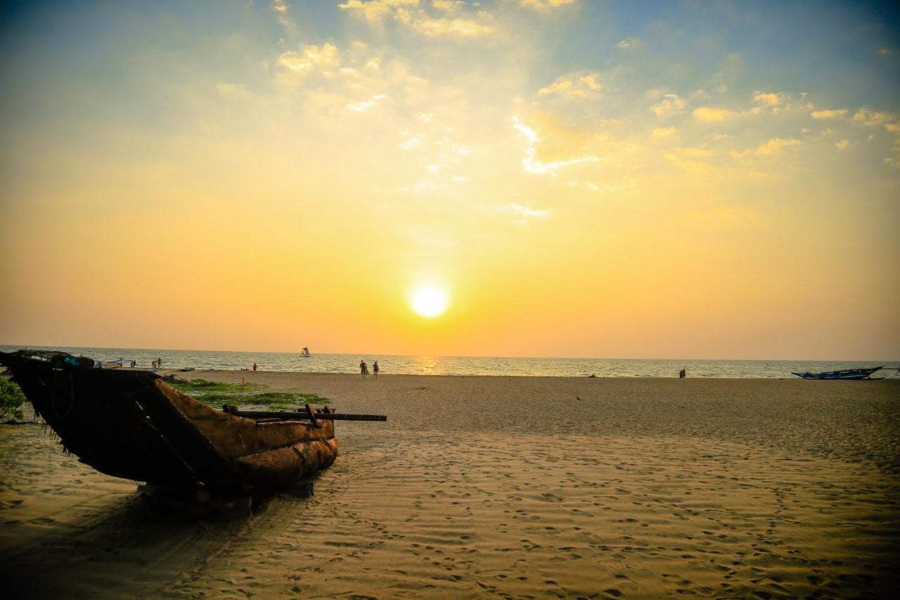 The Cove Hotell Negombo Exteriör bild